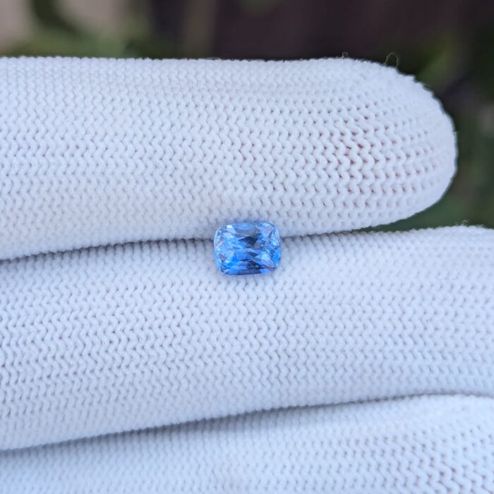 Blue sapphire on gloved hand